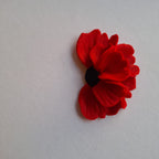 Rose flower